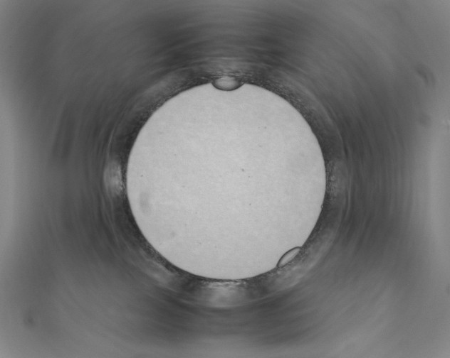 X0000111430089200908241131
