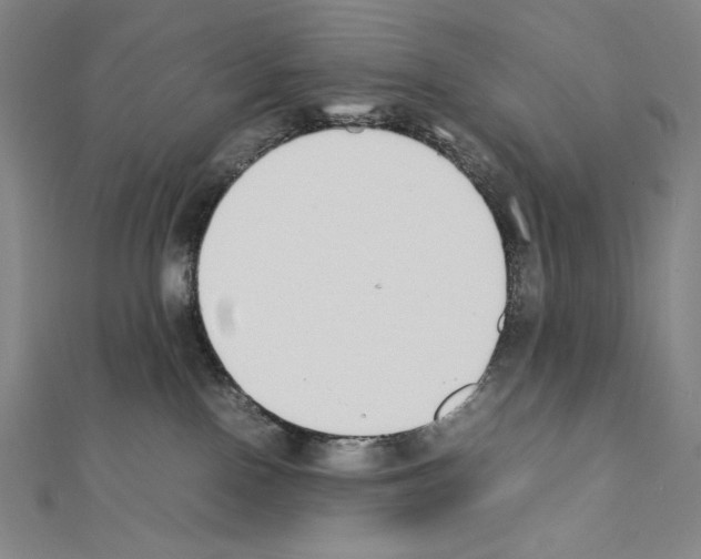 X0000111430090200908241131