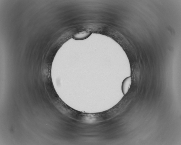 X0000111430091200908241131