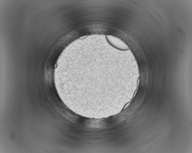 X0000111430093200908241131