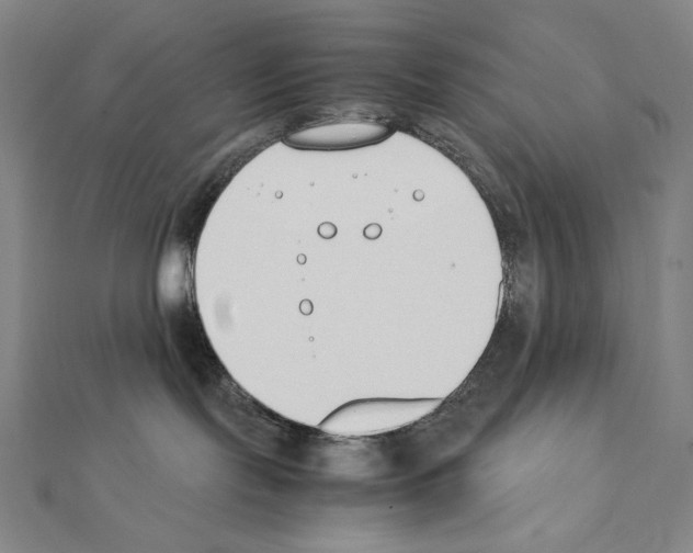 X0000111430095200908241131