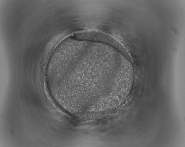 X0000111430097200908241130