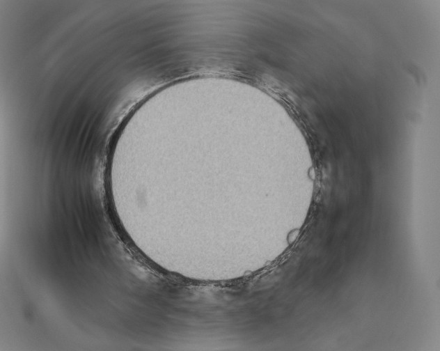 X0000111430098200908241130