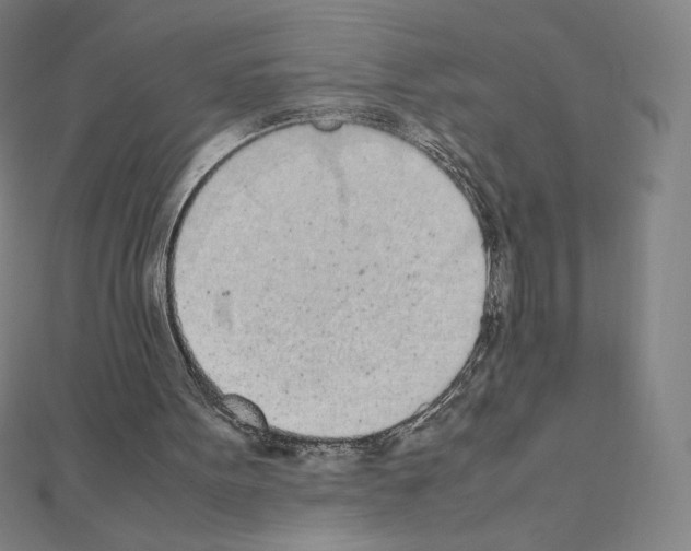 X0000111430099200908241130