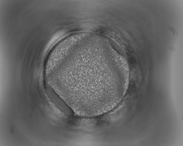 X0000111430101200908241130