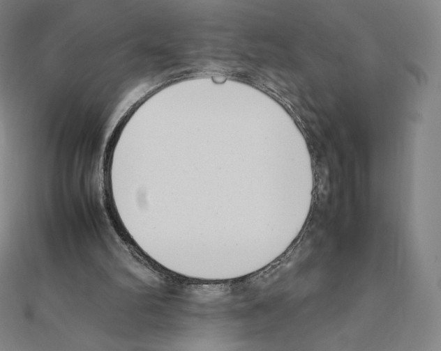 X0000111430102200908241130