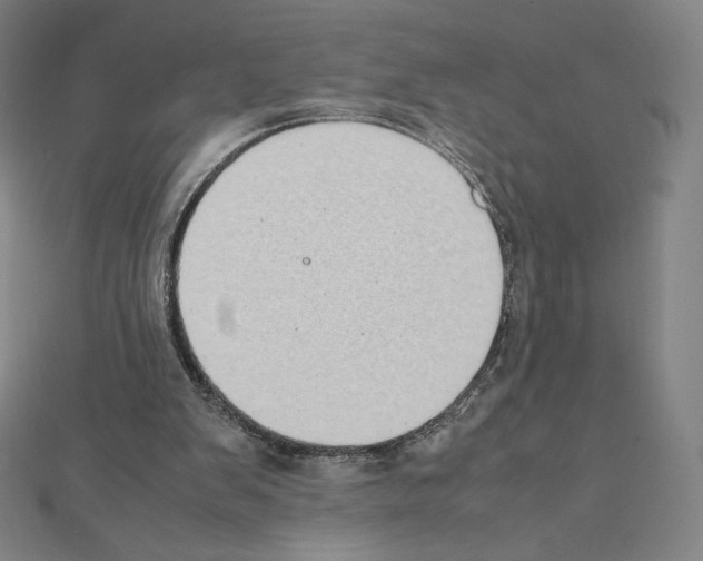 X0000111430103200908241130