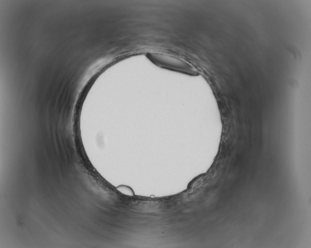 X0000111430104200908241130