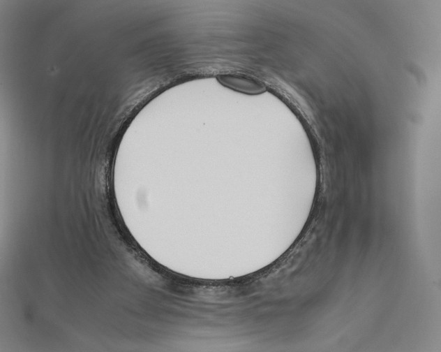 X0000111430105200908241130