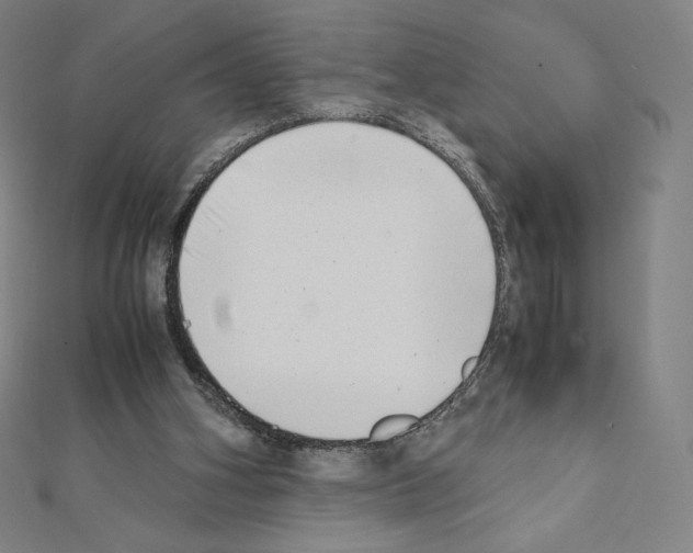 X0000111430106200908241130