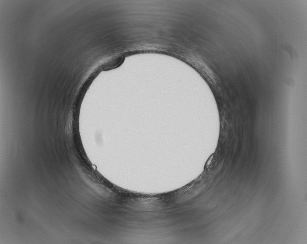 X0000111430108200908241130