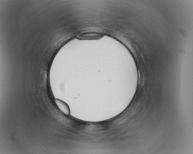 X0000111430109200908241130