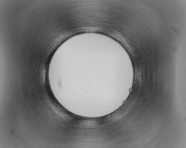 X0000111430110200908241130