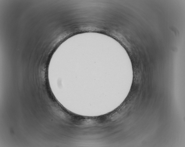 X0000111430111200908241130