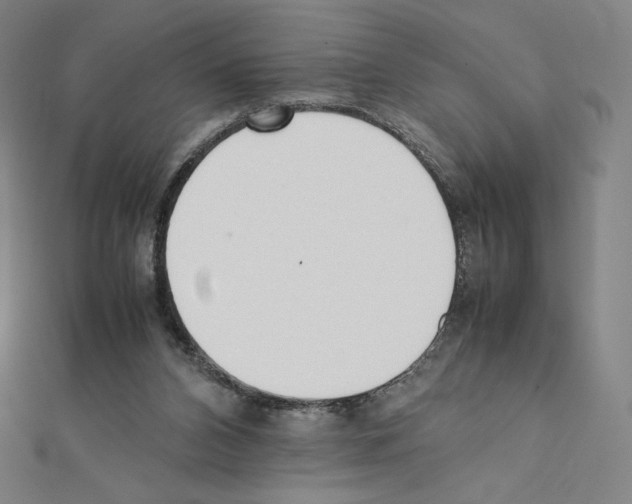X0000111430112200908241130