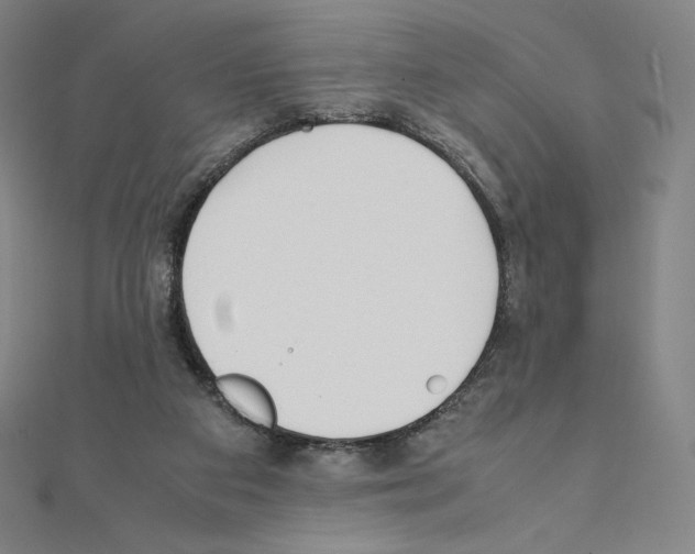 X0000111430113200908241130