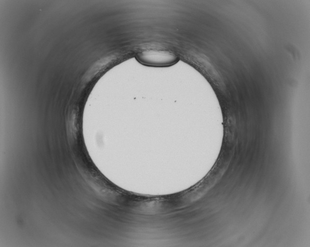 X0000111430116200908241130