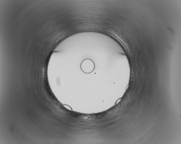 X0000111430117200908241130