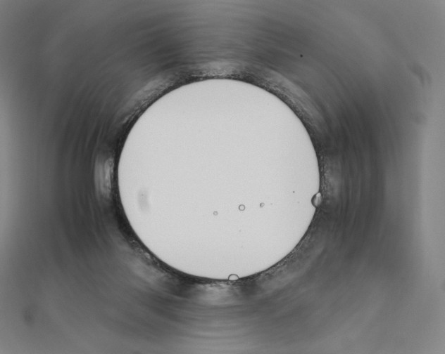 X0000111430118200908241130