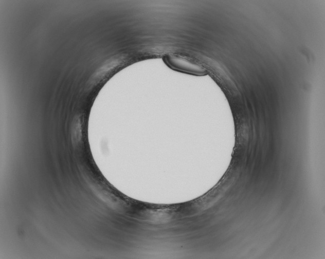 X0000111430120200908241130