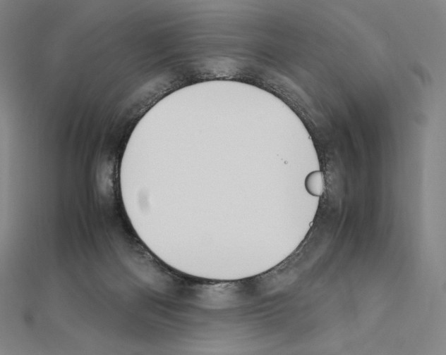 X0000111430122200908241130