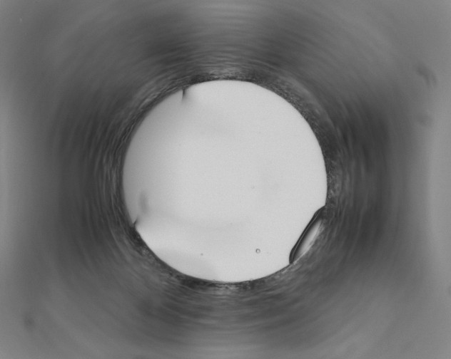 X0000111430124200908241130