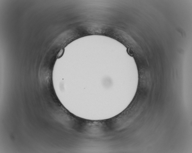X0000111430125200908241130