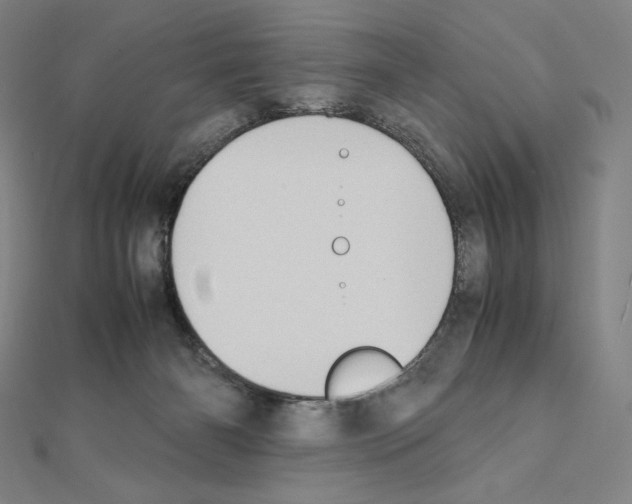 X0000111430126200908241130