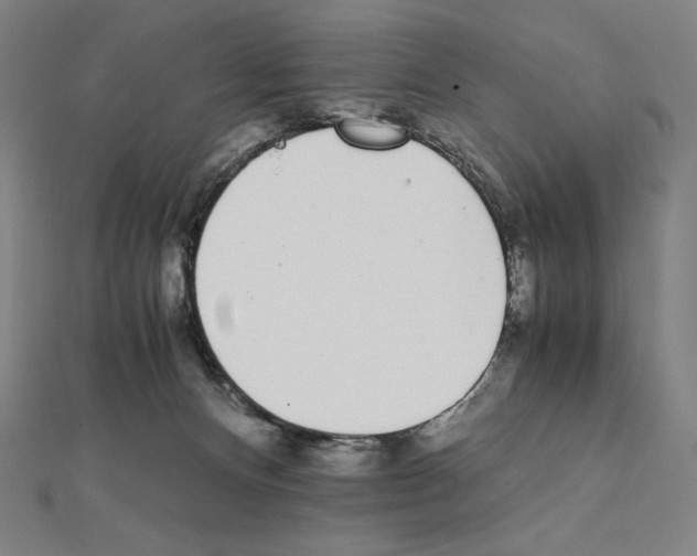 X0000111430128200908241130
