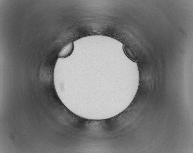 X0000111430129200908241130
