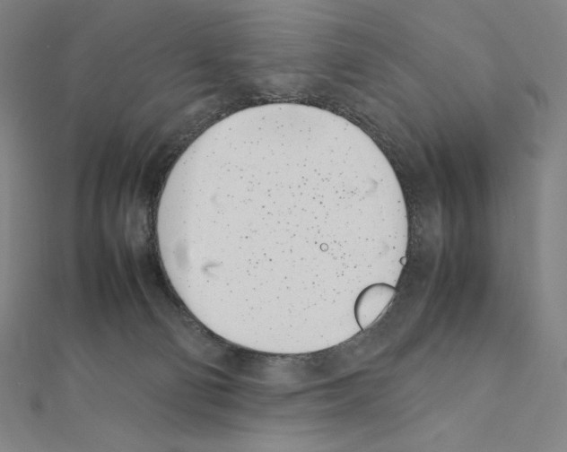 X0000111430130200908241130