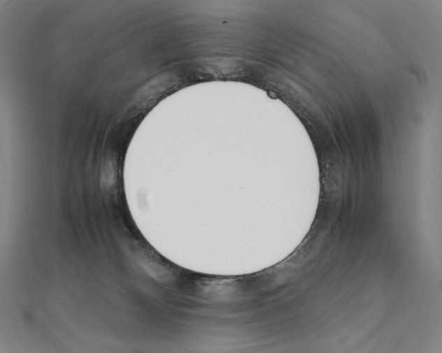X0000111430132200908241130