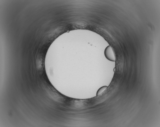 X0000111430134200908241130