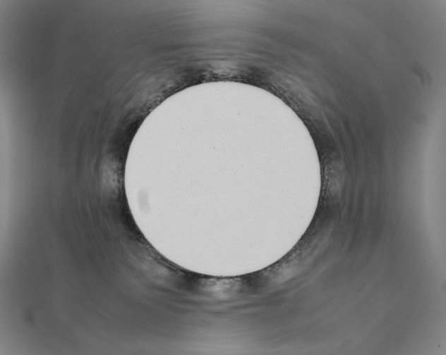 X0000111430135200908241130