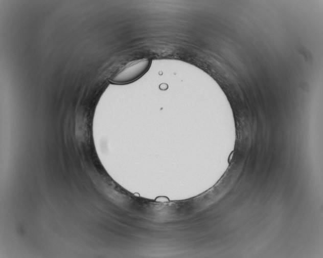 X0000111430136200908241130