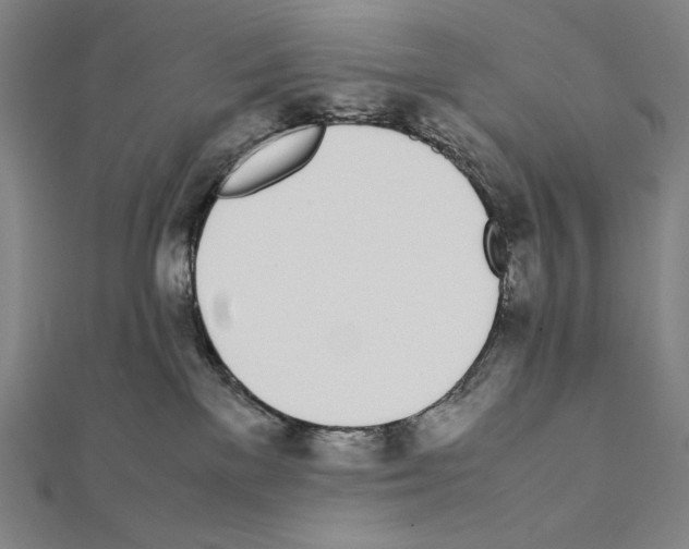X0000111430137200908241130