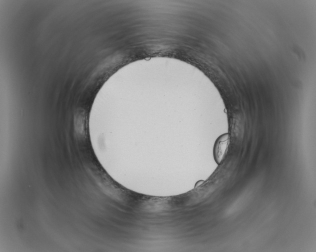 X0000111430138200908241130