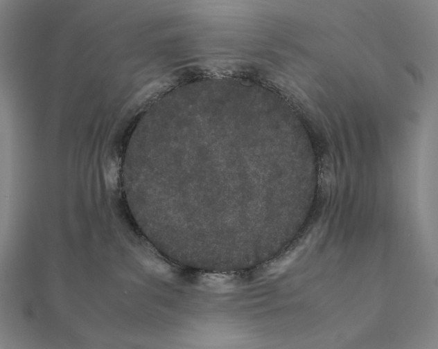 X0000111430139200908241130