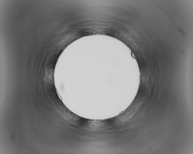 X0000111430141200908241130