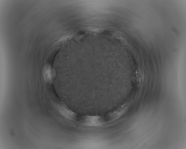 X0000111430143200908241130