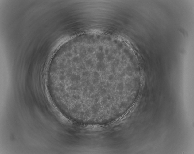 X0000111430145200908241129