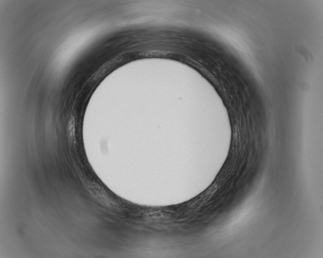 X0000111430146200908241129