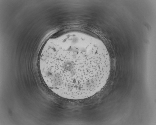 X0000111430147200908241129