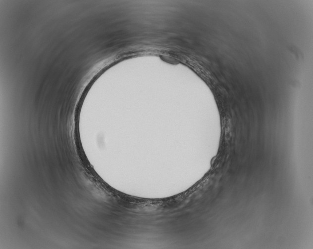 X0000111430148200908241129
