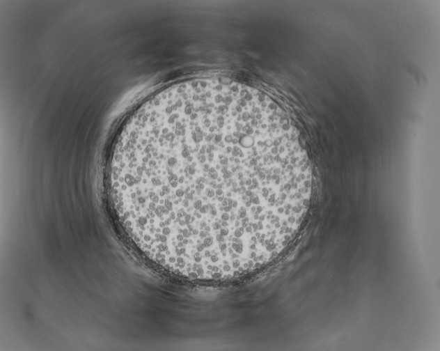 X0000111430149200908241129