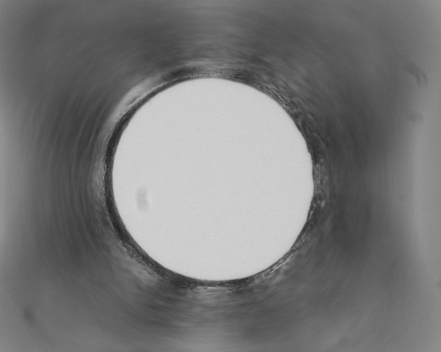 X0000111430150200908241129