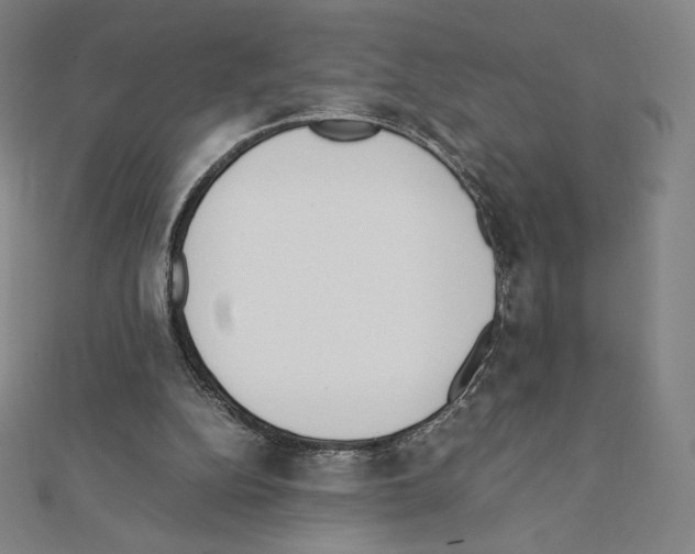 X0000111430152200908241129