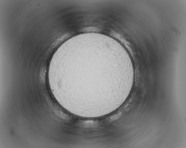 X0000111430153200908241129