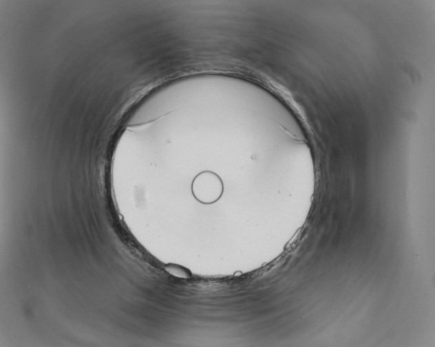 X0000111430154200908241129