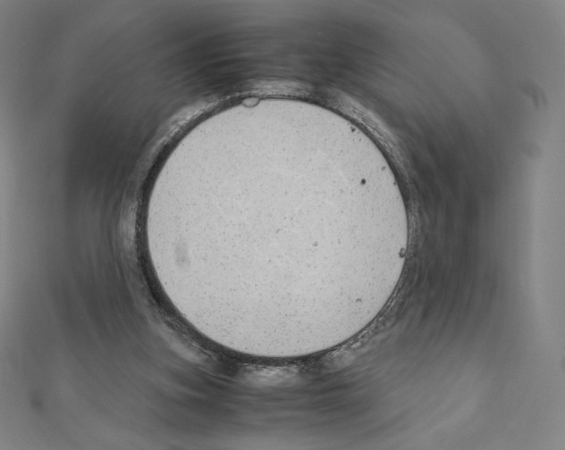 X0000111430155200908241129